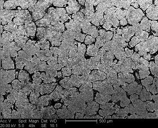 /static/micrographs/micrograph1504.png