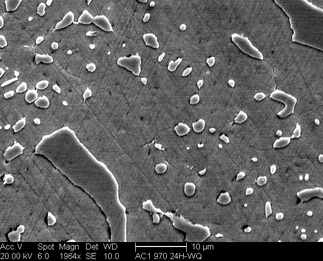 /static/micrographs/micrograph1506.png