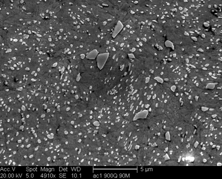 /static/micrographs/micrograph1507.png