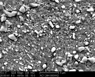 /static/micrographs/micrograph1515.png