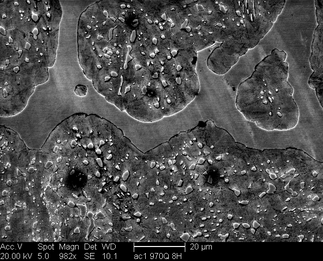 /static/micrographs/micrograph1516.png