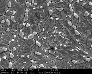 /static/micrographs/micrograph1517.png