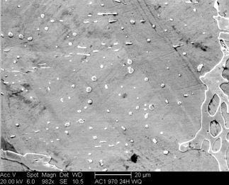 /static/micrographs/micrograph1518.png