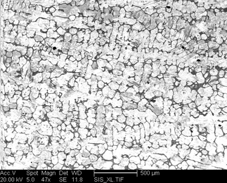 /static/micrographs/micrograph1519.png