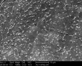 /static/micrographs/micrograph152.png