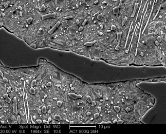 /static/micrographs/micrograph1520.png