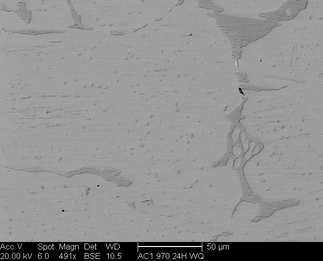 /static/micrographs/micrograph1521.png