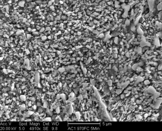 /static/micrographs/micrograph1522.png