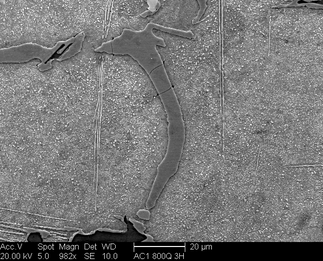 /static/micrographs/micrograph1524.png