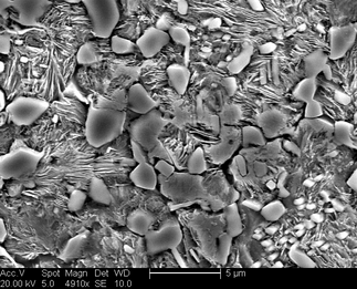 /static/micrographs/micrograph1525.png