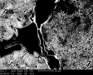 /static/micrographs/micrograph1527.png