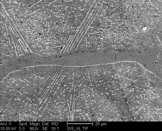 /static/micrographs/micrograph1528.png
