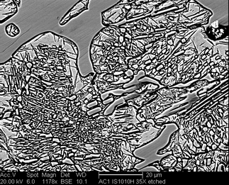 /static/micrographs/micrograph1531.png