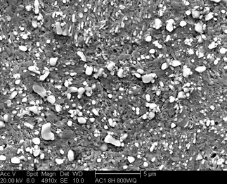 /static/micrographs/micrograph1536.png