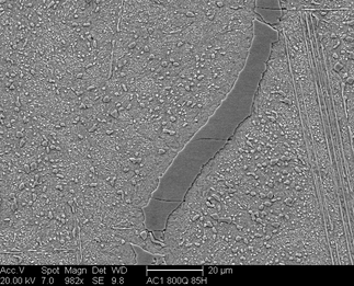 /static/micrographs/micrograph1538.png