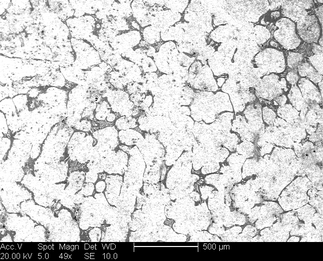/static/micrographs/micrograph1539.png