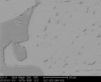 /static/micrographs/micrograph154.png