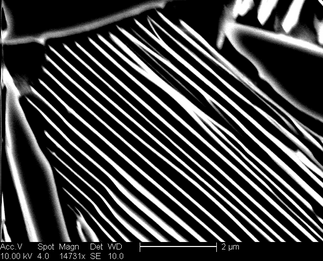 /static/micrographs/micrograph1540.png