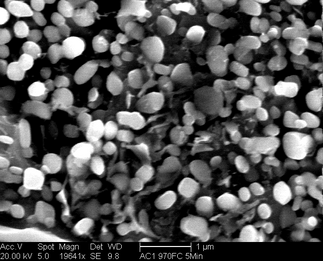 /static/micrographs/micrograph1543.png