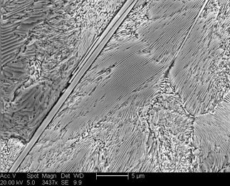 /static/micrographs/micrograph1544.png