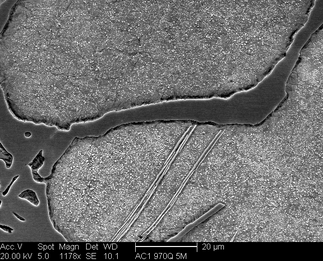 /static/micrographs/micrograph1551.png