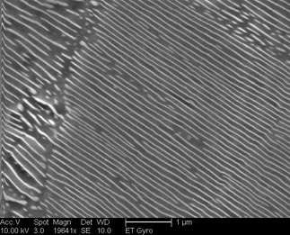 /static/micrographs/micrograph1554.png