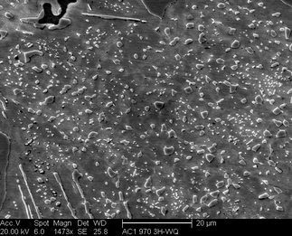 /static/micrographs/micrograph1555.png