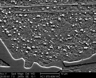/static/micrographs/micrograph1556.png