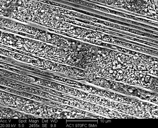 /static/micrographs/micrograph1560.png