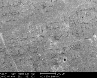 /static/micrographs/micrograph1561.png