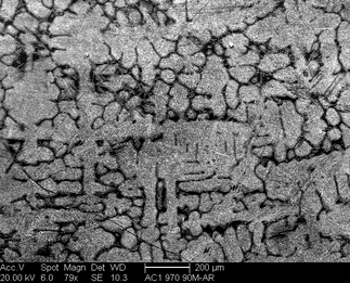 /static/micrographs/micrograph1565.png