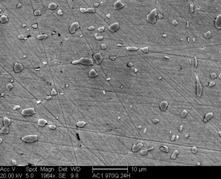 /static/micrographs/micrograph1569.png