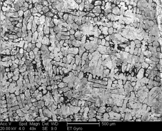 /static/micrographs/micrograph157.png