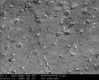 /static/micrographs/micrograph1571.png
