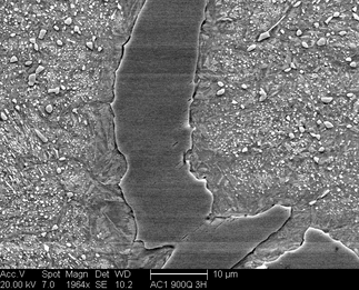 /static/micrographs/micrograph1572.png