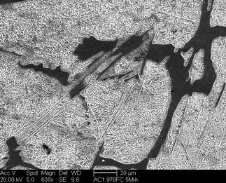 /static/micrographs/micrograph1573.png