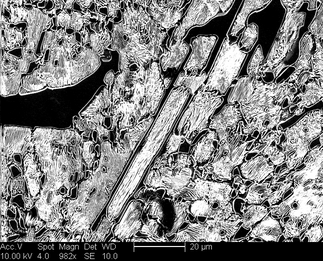 /static/micrographs/micrograph1574.png
