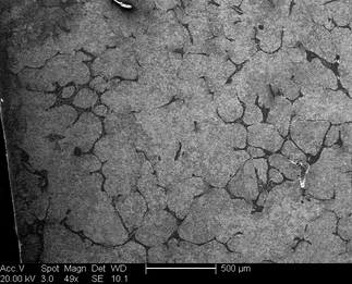 /static/micrographs/micrograph1575.png