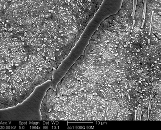 /static/micrographs/micrograph1579.png
