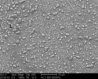 /static/micrographs/micrograph1580.png
