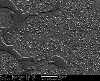 /static/micrographs/micrograph1581.png