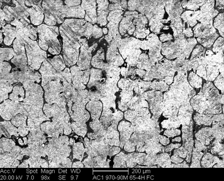 /static/micrographs/micrograph1583.png