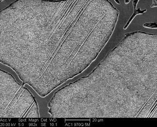 /static/micrographs/micrograph1586.png