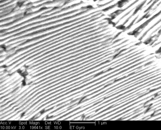 /static/micrographs/micrograph1588.png
