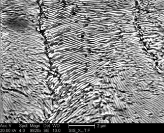 /static/micrographs/micrograph1589.png