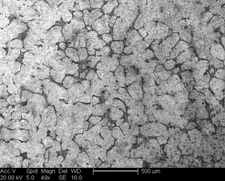 /static/micrographs/micrograph1593.png