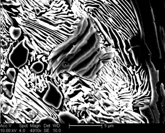 /static/micrographs/micrograph1595.png