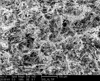 /static/micrographs/micrograph1599.png