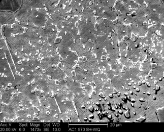 /static/micrographs/micrograph160.png