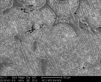 /static/micrographs/micrograph1601.png